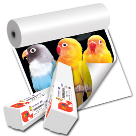 {振昌文具}【請先來電洽詢庫存】彩之舞 A1 130gsm亮面噴墨海報貼紙 1捲/箱 HY-R1024GA