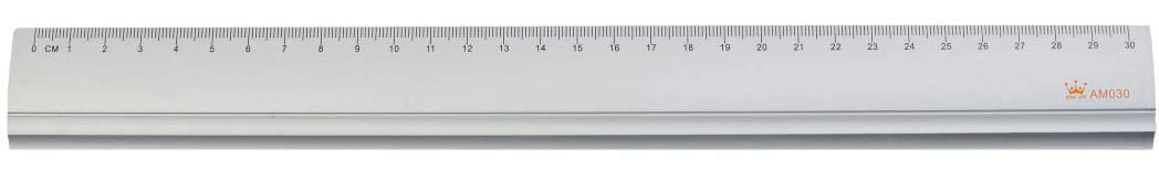{振昌文具}【徠福LIFE】AM030 高級鋁尺(30cm) / 支