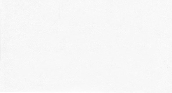 博崴 004A 憑證封面 (底) -10張 / 包