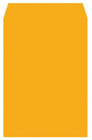 博崴 N12A4 A4金黃公文封 -100個入 / 包