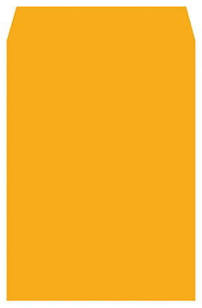 博崴 N1206 大6K金黃公文封 -100個入 / 包