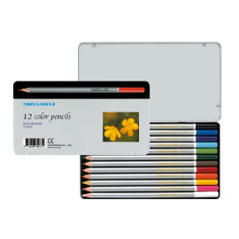 【雄獅】C1200/8 12*12 塗頭色筆/組