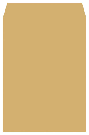 博崴 N1106 大6K中興牛皮公文封 -100個入 / 包