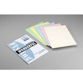 【雙鶖】【請先來電洽詢】CP-7098 多功能進口紙80P 50張4色 /包