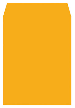 博崴 N1209 大9K金黃公文封 -100個入 / 包