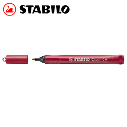 {振昌文具}【請先來電洽詢庫存】STABILO 德國天鵝 Trio Scribbi 三角形握把設計彈性筆頭彩色筆 10支 / 盒