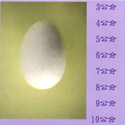 振昌文具 保力龍蛋 4cm 50入/包