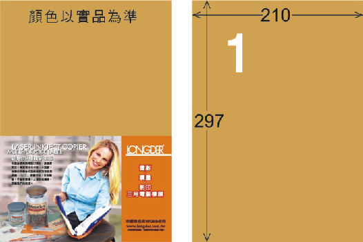 龍德 LD-800-M-C A4雷射影印標籤 金色 / 包