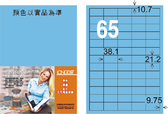 龍德 LD-806-B-C A4三用電腦標籤 淺藍色 / 包