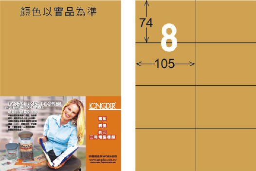 龍德 LD-805-M-C A4雷射影印標籤 金色 / 包