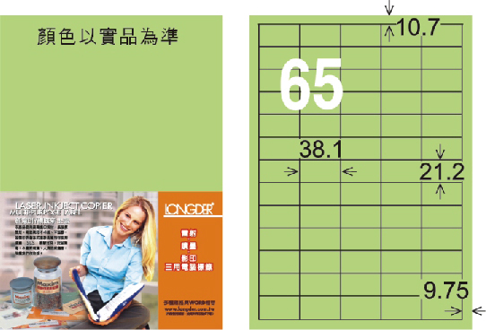 龍德 LD-806-G-C A4三用電腦標籤 淺綠色 / 包