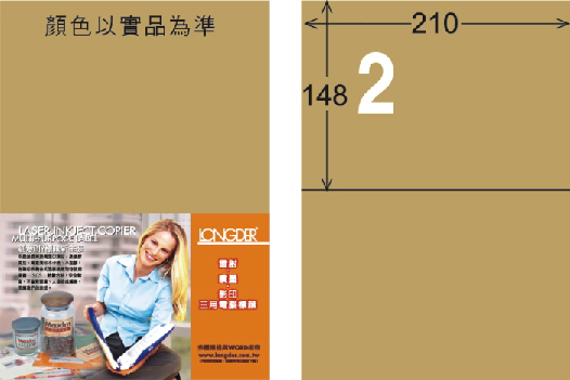 龍德 LD-804-C-C A4三用電腦標籤 牛皮紙 / 包