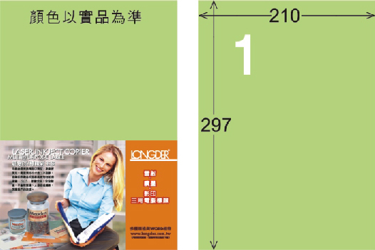 龍德 LD-800-G-C  A4三用電腦標籤 淺綠色 / 包