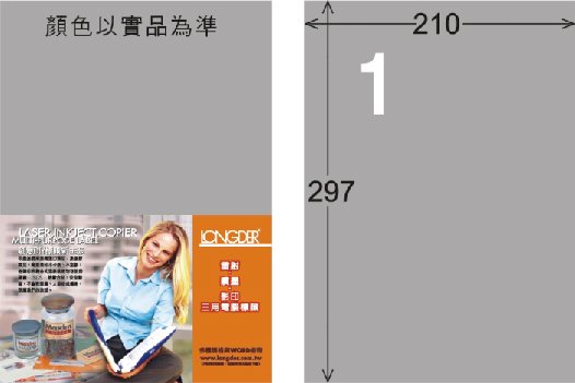 龍德 LD-800-S-C A4雷射影印標籤 銀色 / 包