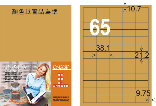 龍德 LD-806-M-C A4雷射影印標籤 金色 / 包