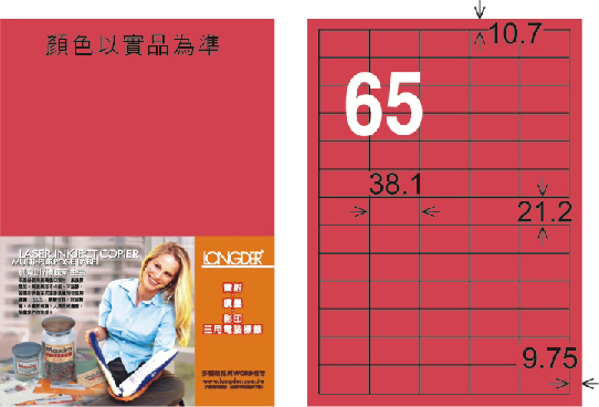龍德 LD-806-FR-C A4雷射影印標籤 螢光紅 / 包