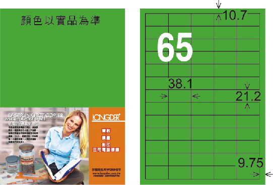 龍德 LD-806-FG-C A4雷射影印標籤 螢光綠 / 包
