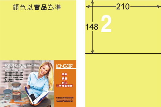 龍德 LD-804-Y-C A4三用電腦標籤 淺黃色 / 包