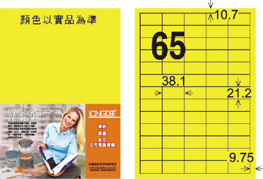 龍德 LD-806-FY-C A4雷射影印標籤 螢光黃 / 包