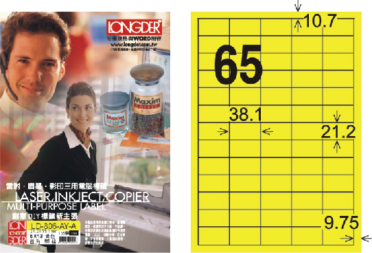 龍德 LD-806-AY-A A4雷射影印標籤 黃銅版 / 盒