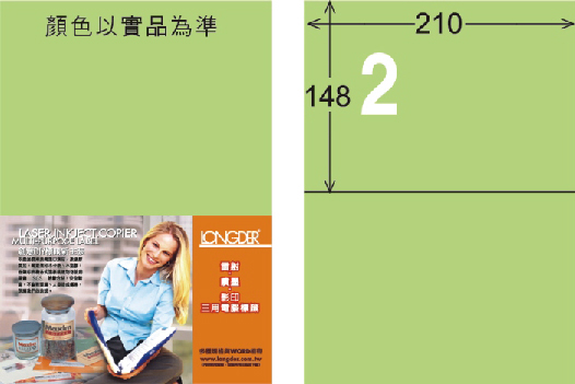 龍德 LD-804-G-C A4三用電腦標籤 淺綠色 / 包