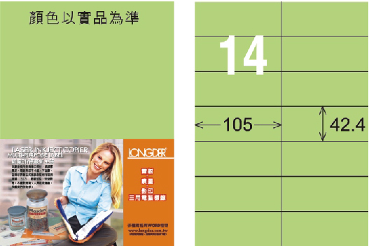 龍德 LD-809-G-C A4三用電腦標籤 淺綠色 / 包