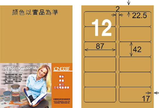 龍德 LD-810-M-C A4雷射影印標籤 金色 / 包