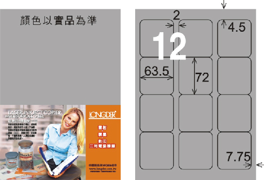 龍德 LD-815-S-C A4雷射影印標籤 銀色 / 包