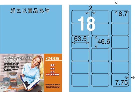 龍德 LD-813-B-C A4三用電腦標籤 淺藍色 / 包