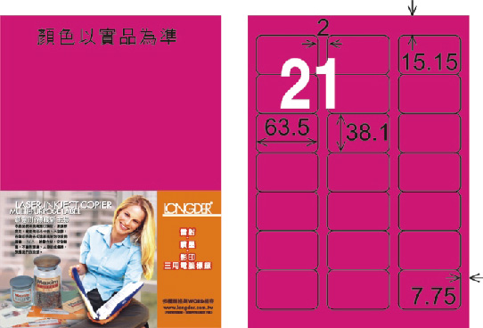 龍德 LD-817-FP-C A4雷射影印標籤 螢光粉紅 / 包