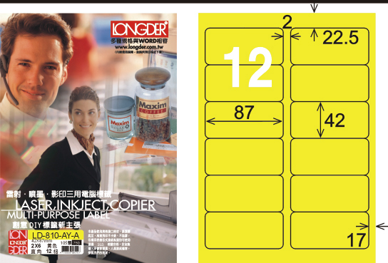 龍德 LD-810-AY-A A4雷射影印標籤 黃銅版 / 盒