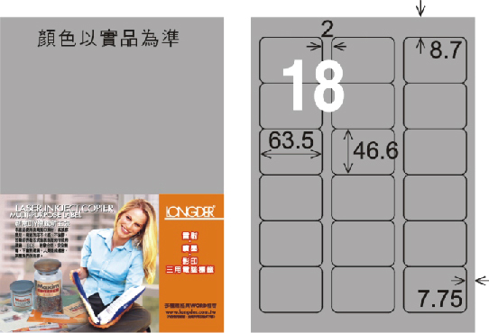 龍德 LD-813-S-C A4雷射影印標籤 銀色 / 包