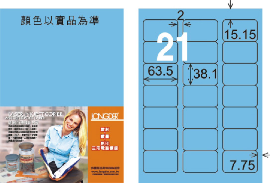 龍德 LD-817-B-C A4三用電腦標籤 淺藍色 / 包