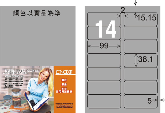 龍德 LD-816-S-C A4雷射影印標籤 銀色 / 包