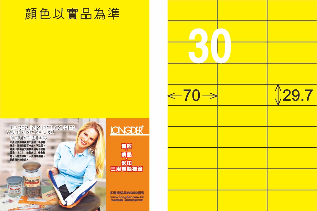 龍德 LD-834-AY-C A4雷射影印標籤 黃銅版 / 包