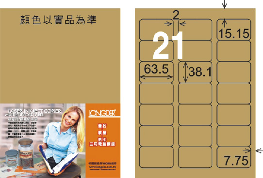 龍德 LD-817-C-C A4三用電腦標籤 牛皮紙 / 包