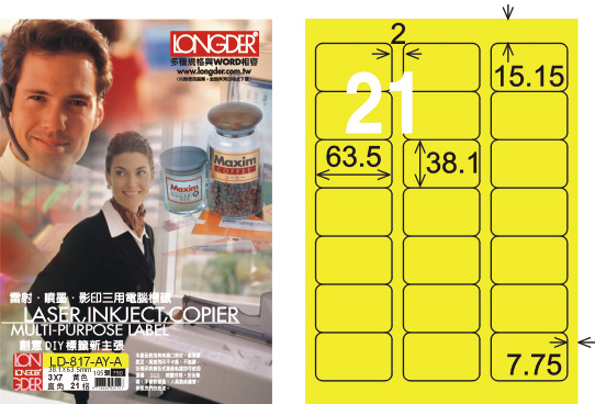 龍德 LD-817-AY-A A4雷射影印標籤 黃銅版 / 盒