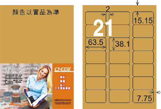 龍德 LD-817-M-C A4雷射影印標籤 金色 / 包