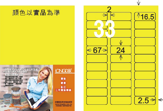 龍德 LD-819-AY-C A4雷射影印標籤 黃銅版 / 包