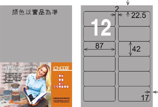 龍德 LD-810-S-C A4雷射影印標籤 銀色 / 包