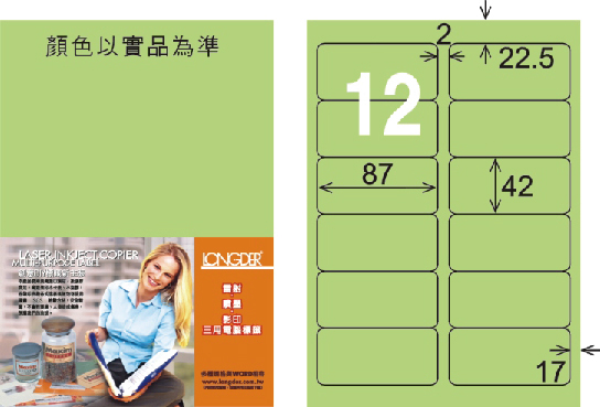 龍德 LD-810-G-C A4三用電腦標籤 淺綠色 / 包
