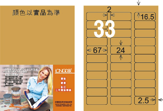 龍德 LD-819-M-C A4雷射影印標籤 金色 / 包