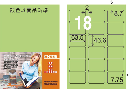 龍德 LD-813-G-C A4三用電腦標籤 淺綠色 / 包