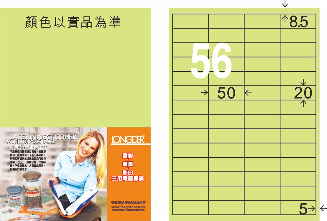 龍德 LD-824-G-C A4三用電腦標籤 淺綠色 / 包