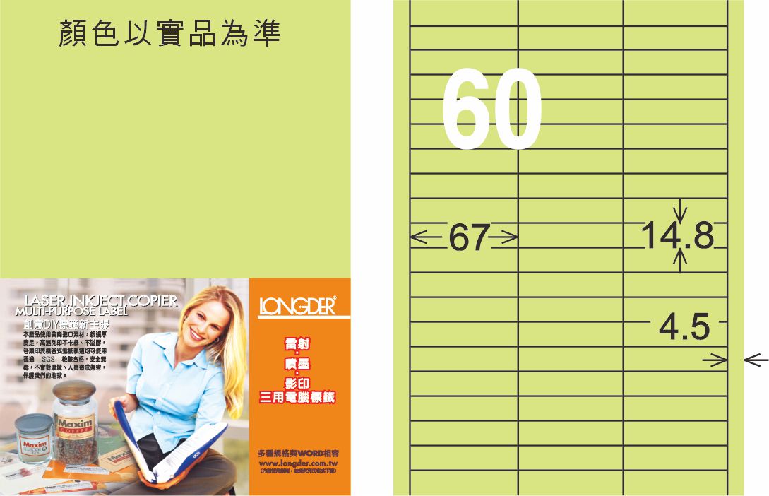 龍德 LD-844-G-C A4三用電腦標籤 淺綠色 / 包