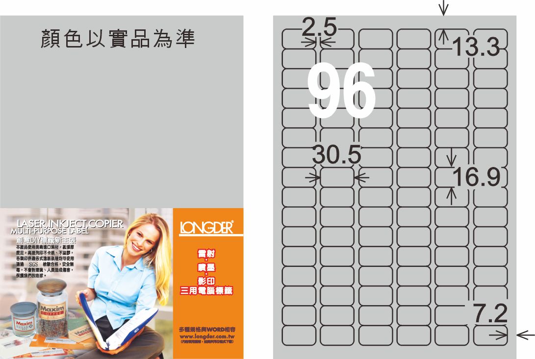 龍德 LD-859-S-C A4雷射影印標籤 銀色 / 包