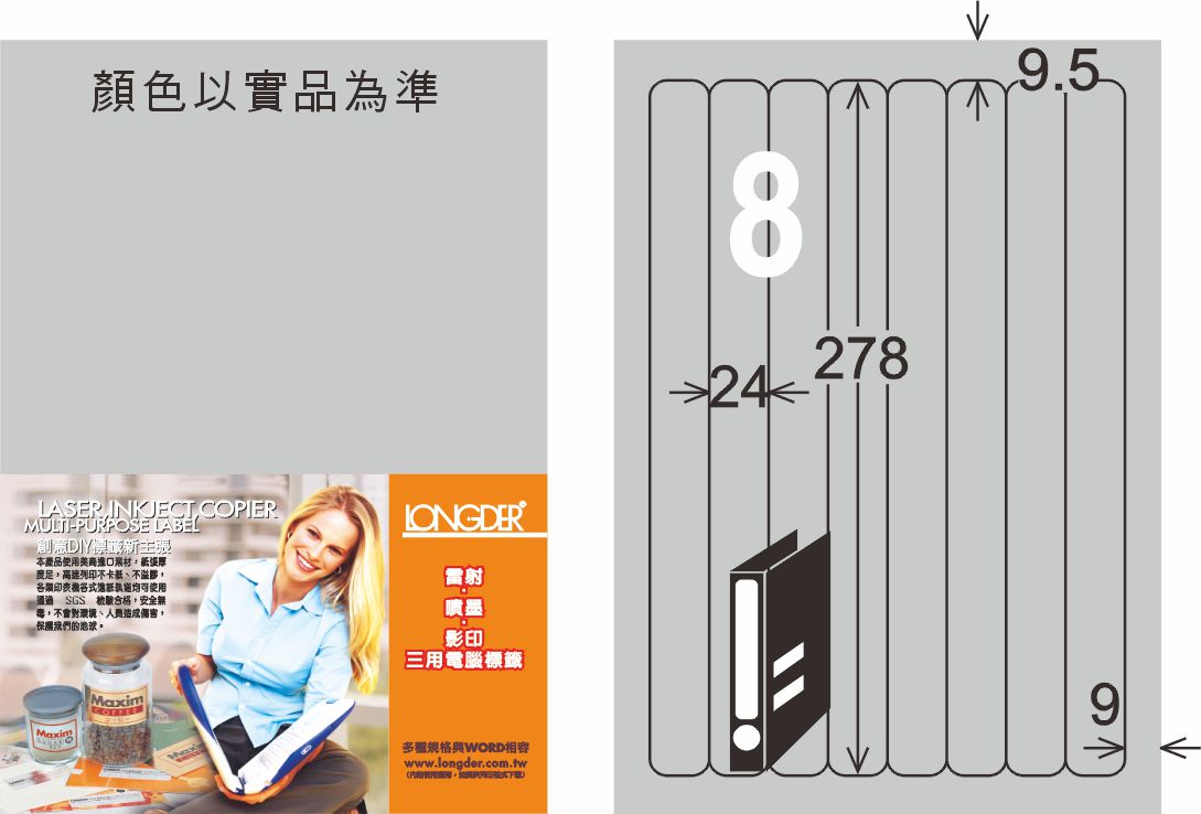 龍德 LD-866-S-C A4雷射影印標籤 銀色 / 包