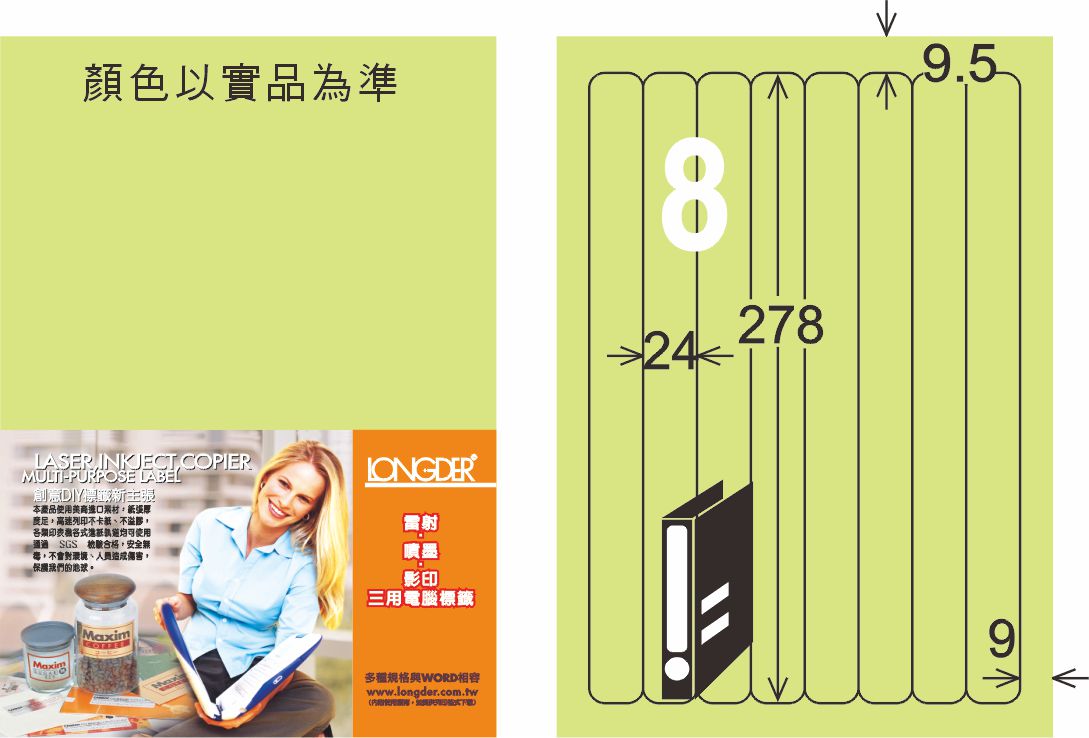 龍德 LD-866-G-C A4三用電腦標籤 淺綠色 / 包