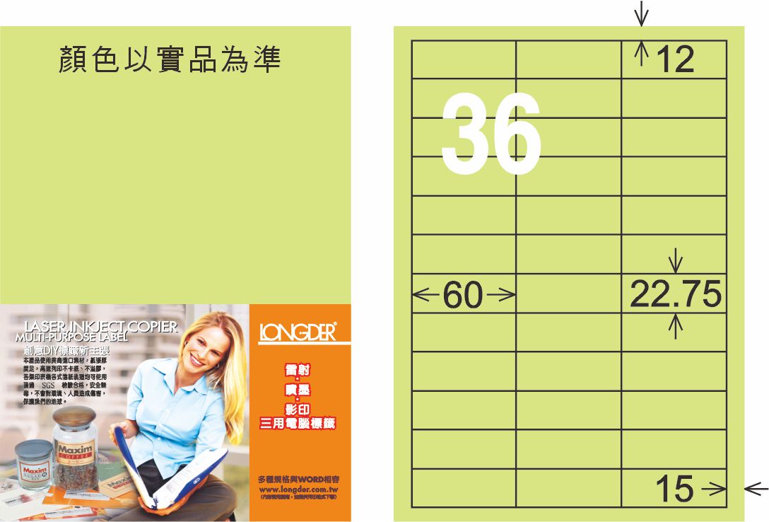 龍德 LD-874-G-C A4三用電腦標籤 淺綠色 / 包