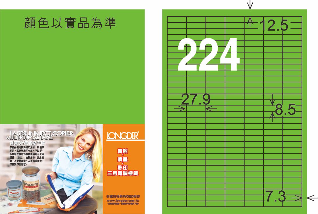 龍德 LD-872-FG-C A4雷射影印標籤 螢光綠 / 包